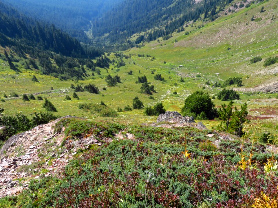 Goat Rocks Wilderness in WA