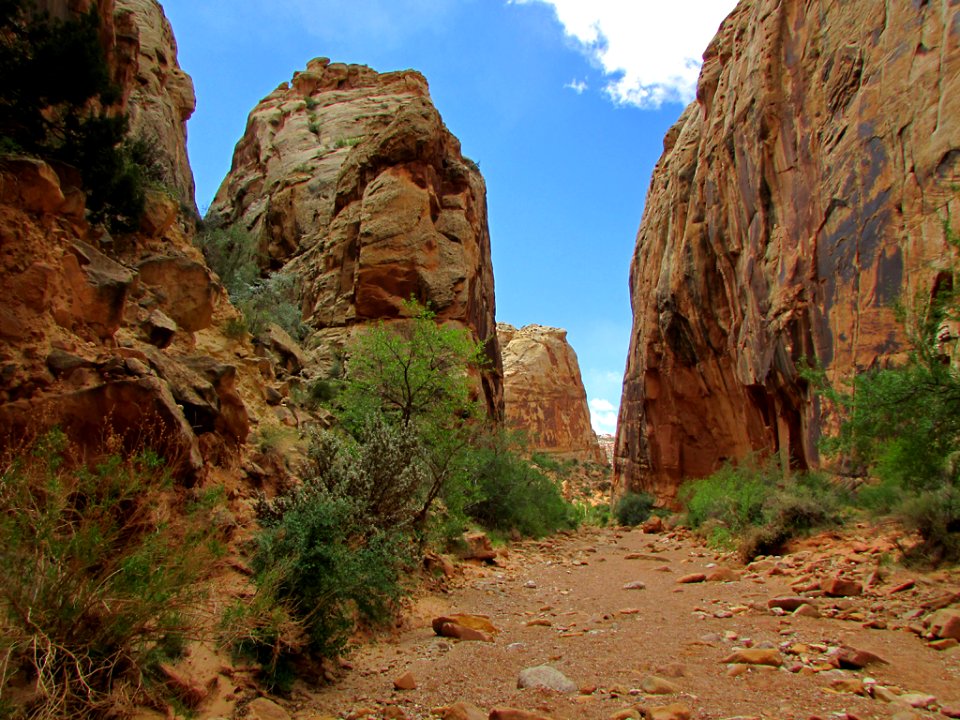 Capitol Reef NP in Utah