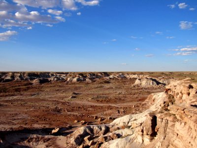 Jasper Forest at Petrified Forest NP in Arizona