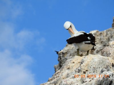 DSCN2783