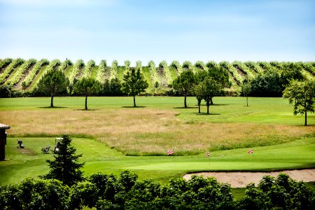chateaudesvigiers-golf-vignes
