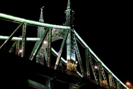 Budapest Independence Bridge (Szabadság híd) photo