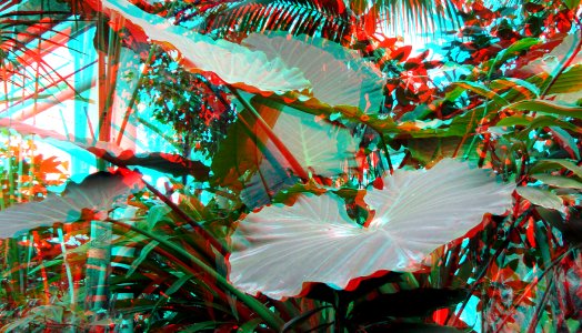 Greenhouse Blijdorp Rotterdam 3D