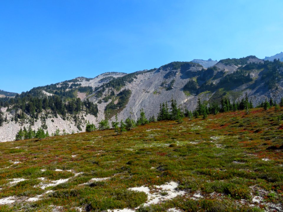 Goat Rocks Wilderness in WA