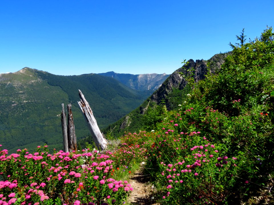 Lakes Trail at Mt. Margaret Backcountry in WA