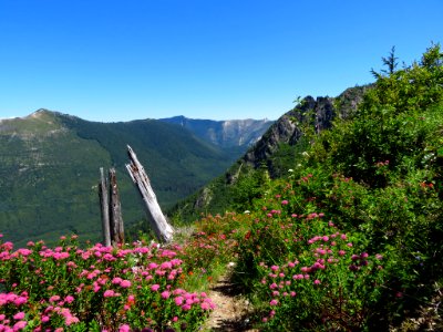 Lakes Trail at Mt. Margaret Backcountry in WA