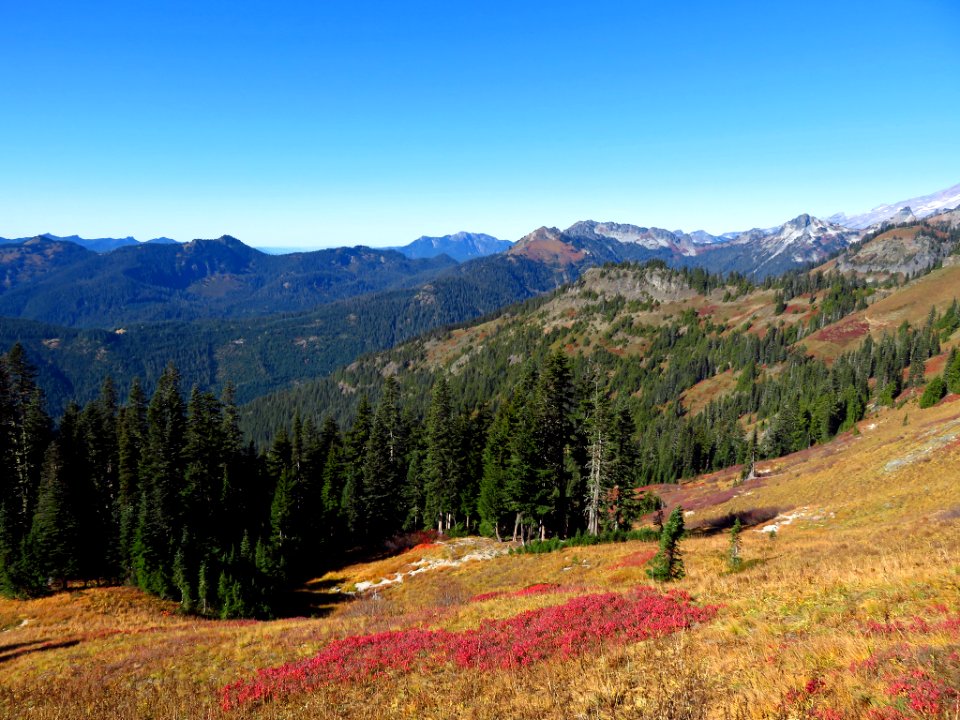 Tatoosh Ridge in WA