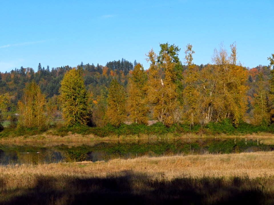 Autumn at Steigerwald Lake NWR in WA
