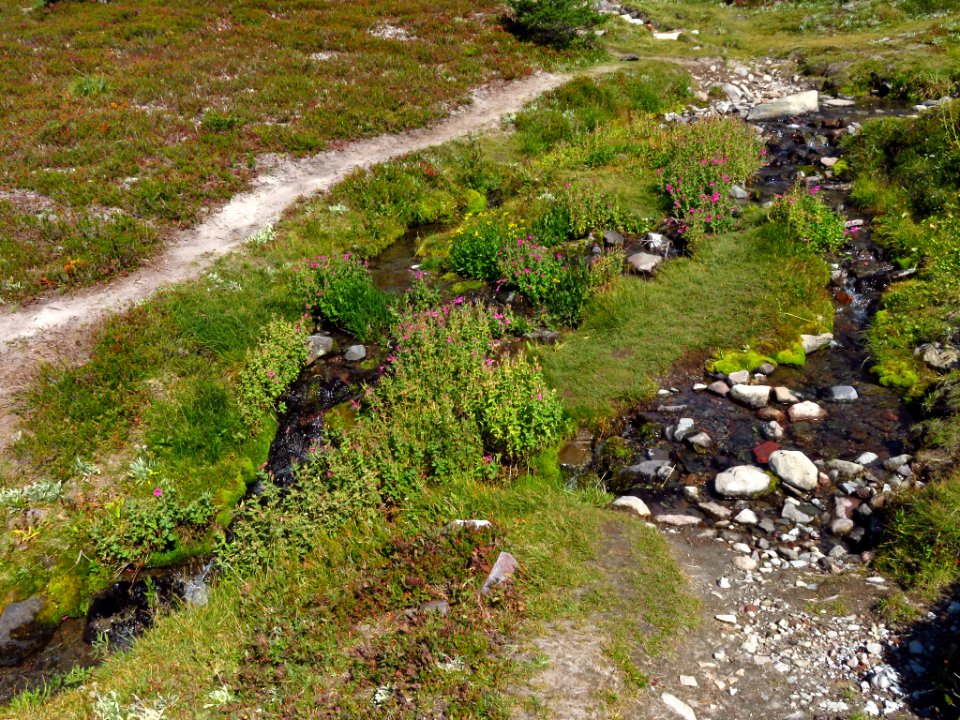 Goat Rocks Wilderness in WA