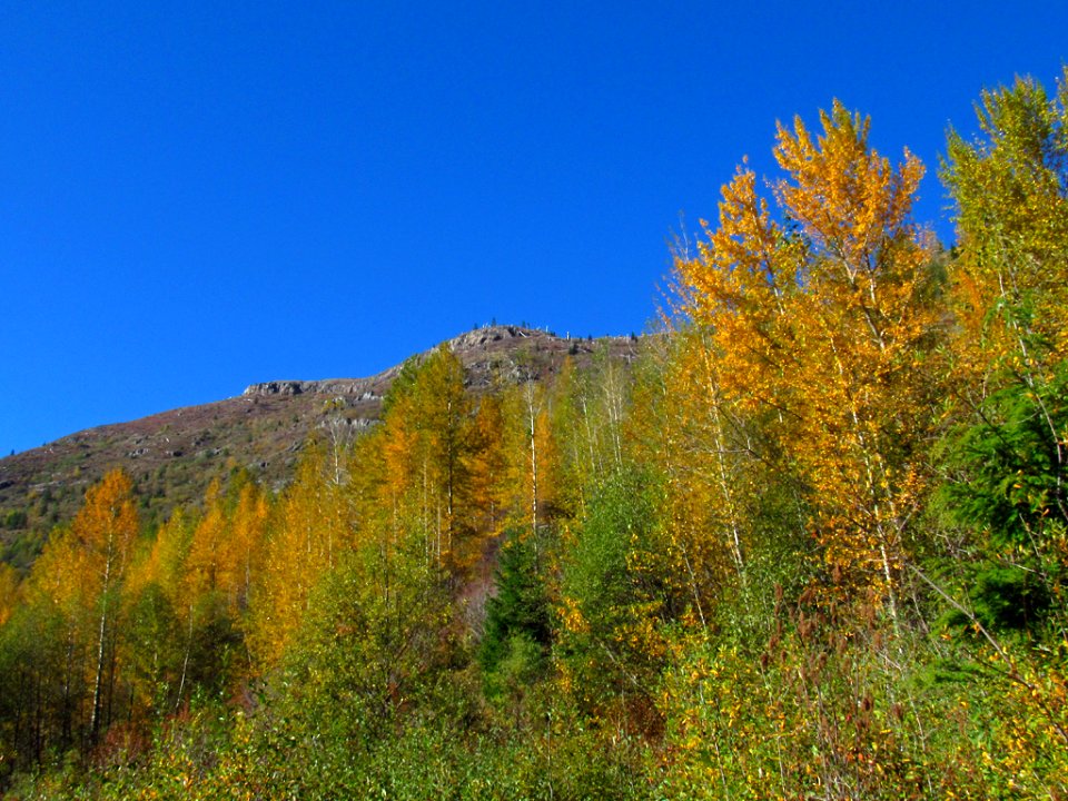 Coldwater Lake Loop Trail in WA