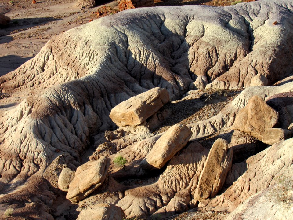 Jasper Forest at Petrified Forest NP in Arizona