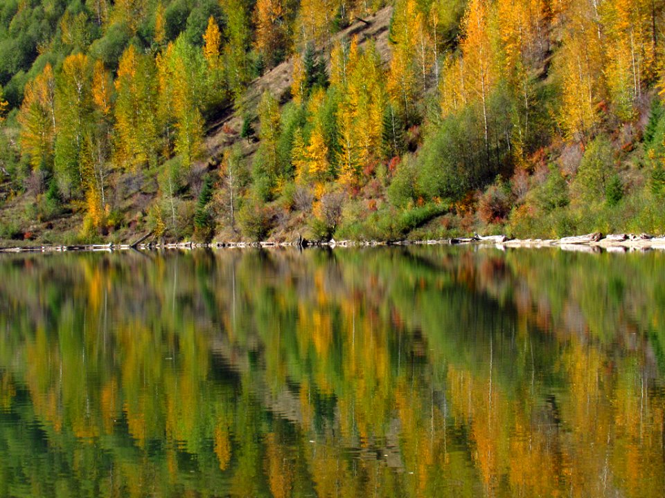 Coldwater Lake Loop Trail in WA