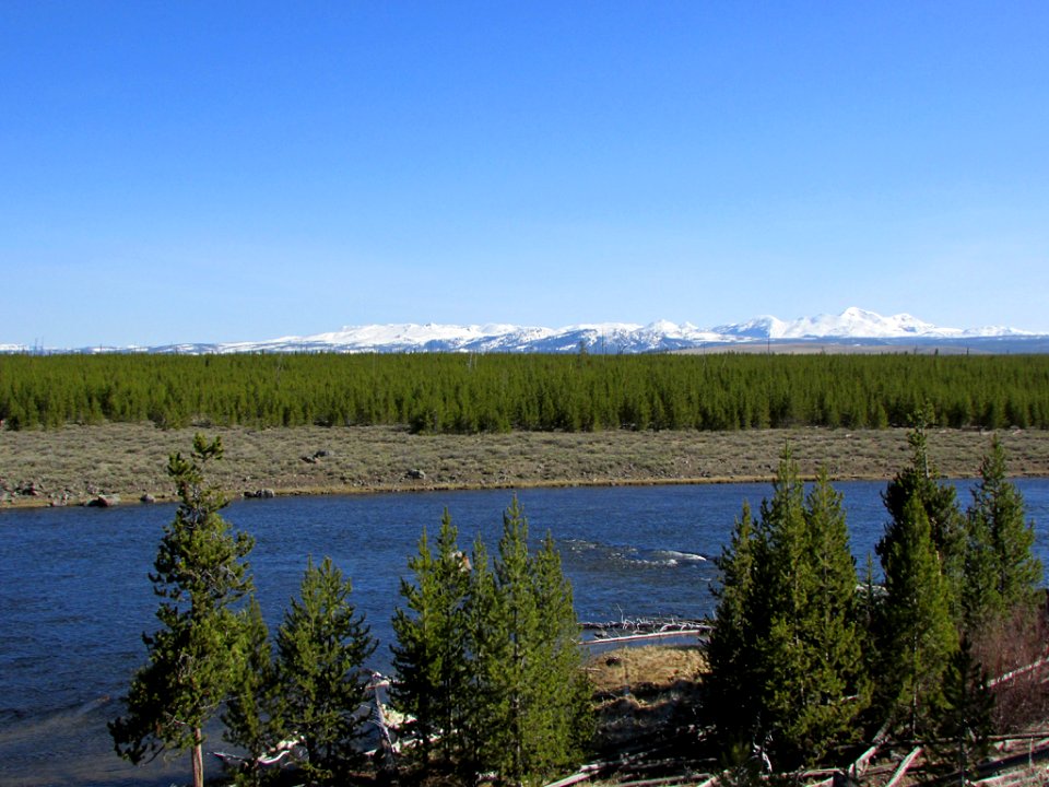 Yellowstone NP in WY