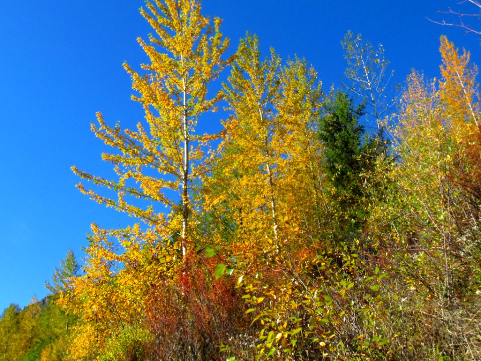 Coldwater Lake Loop Trail in WA