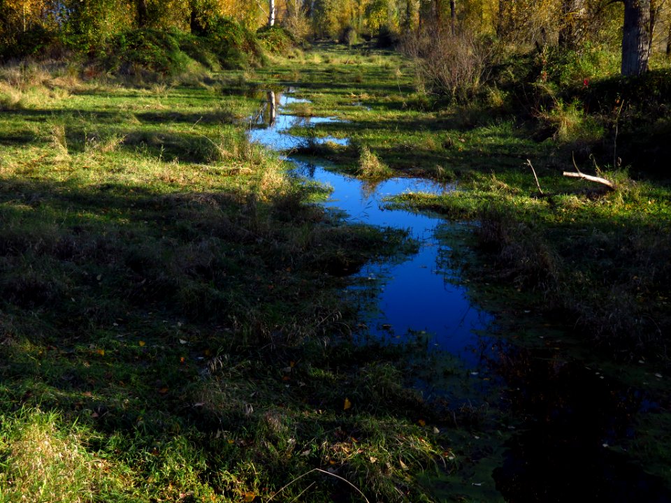Autumn at Steigerwald Lake NWR in WA