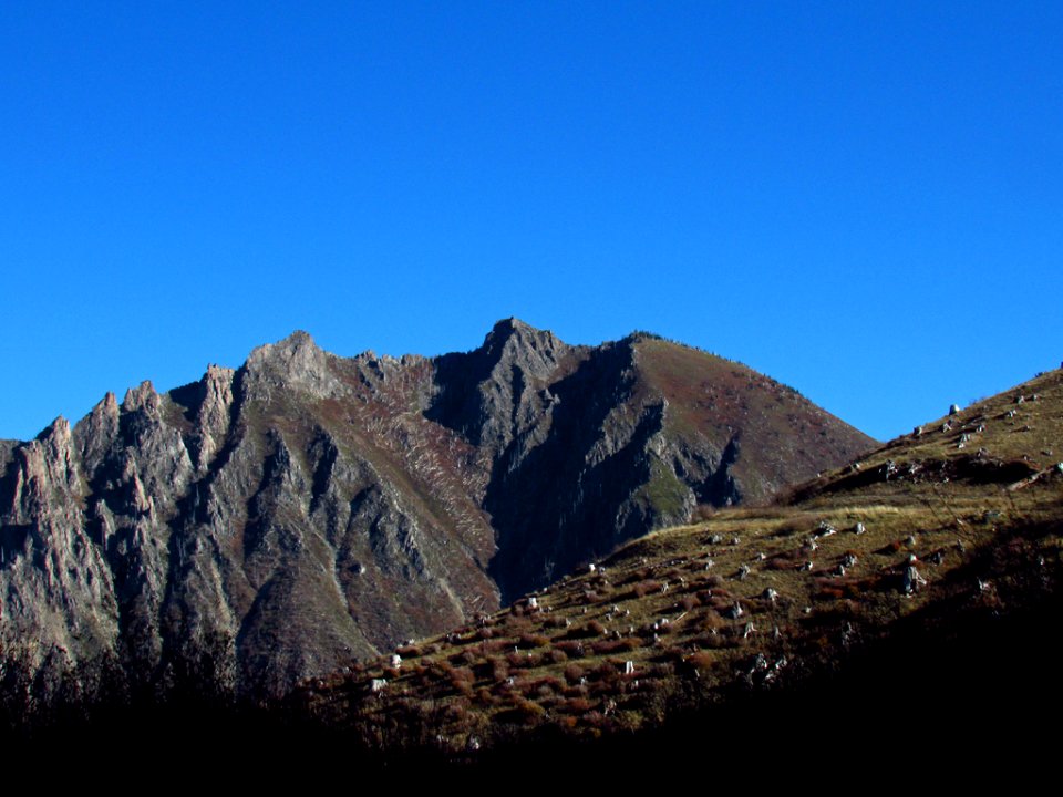 Coldwater Lake Loop Trail in WA