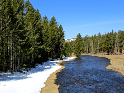 Yellowstone NP in WY