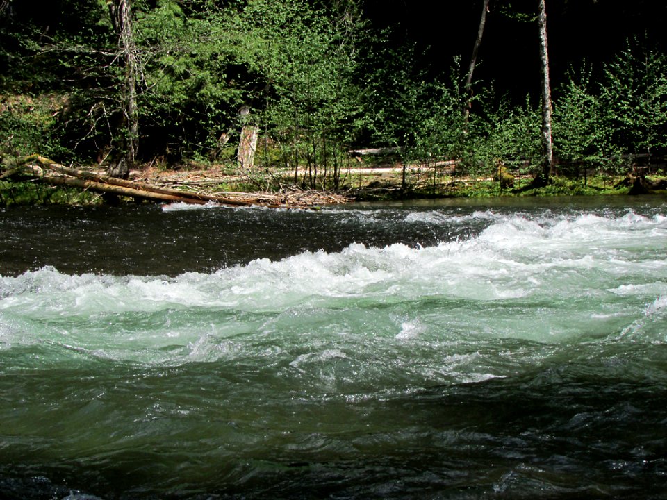 Lower Lewis River Falls Trail in WA