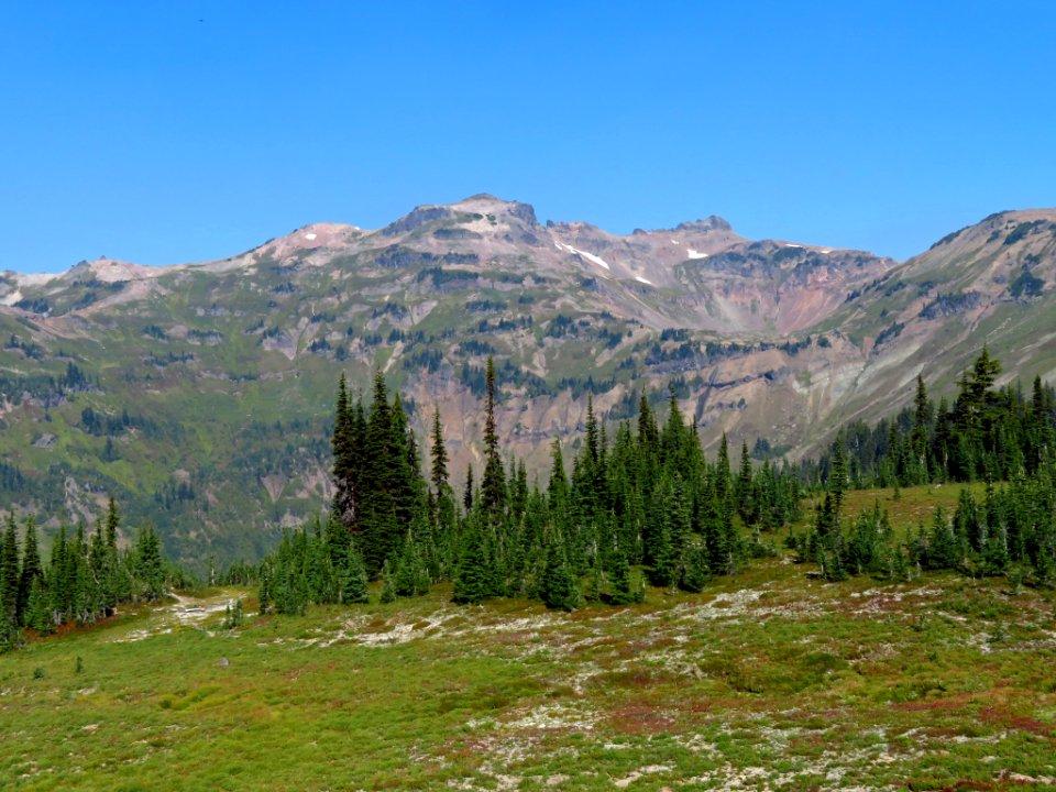 Goat Rocks Wilderness in WA