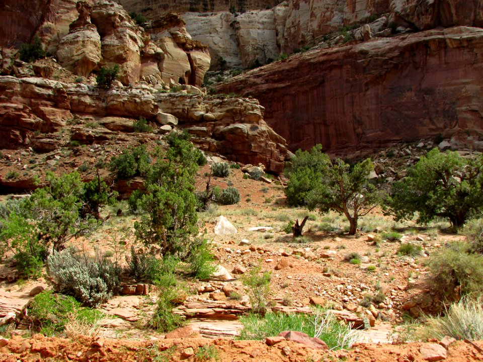 Capitol Reef NP in Utah