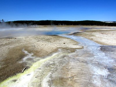 Yellowstone NP in WY