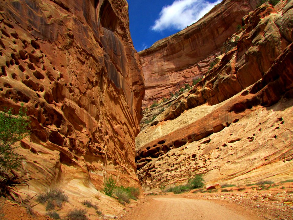 Capitol Reef NP in Utah