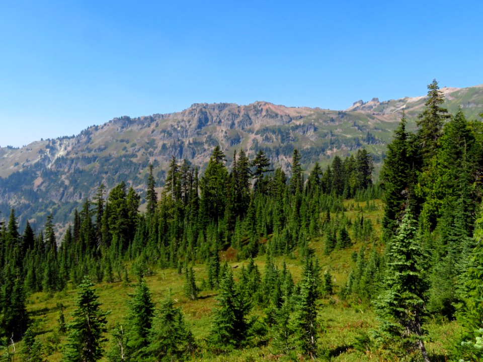 Goat Rocks Wilderness in WA