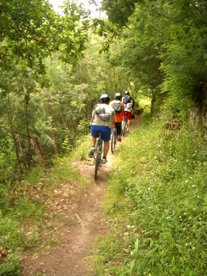 Saída bici