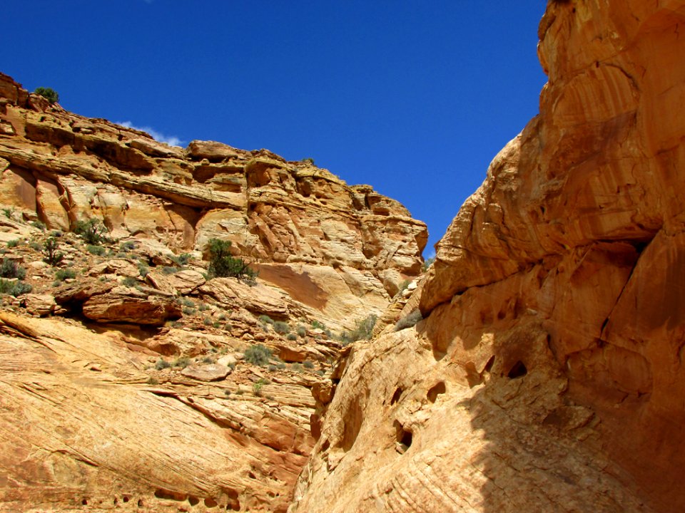Capitol Reef NP in Utah
