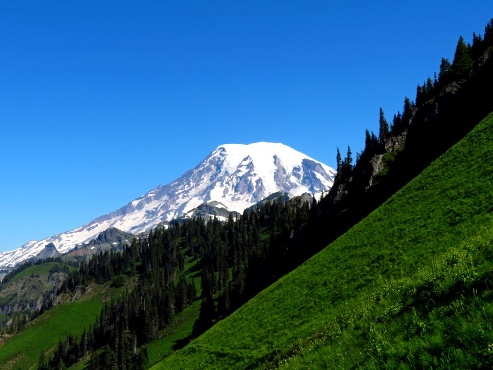 Mt. Rainier on Tatoosh Peak Trail in WA