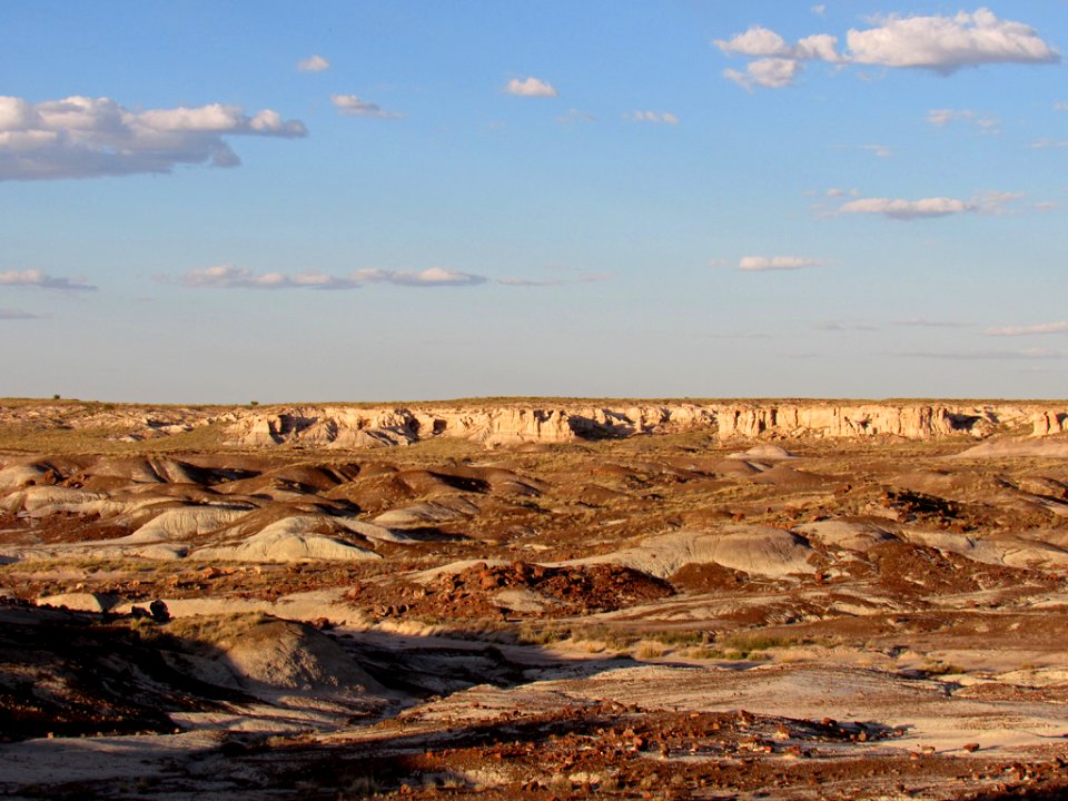 Crystal Forest at Petrified Forest NP in Arizona