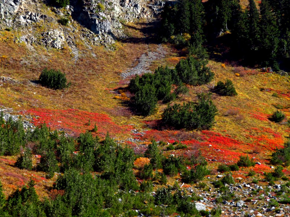 Tatoosh Ridge in WA