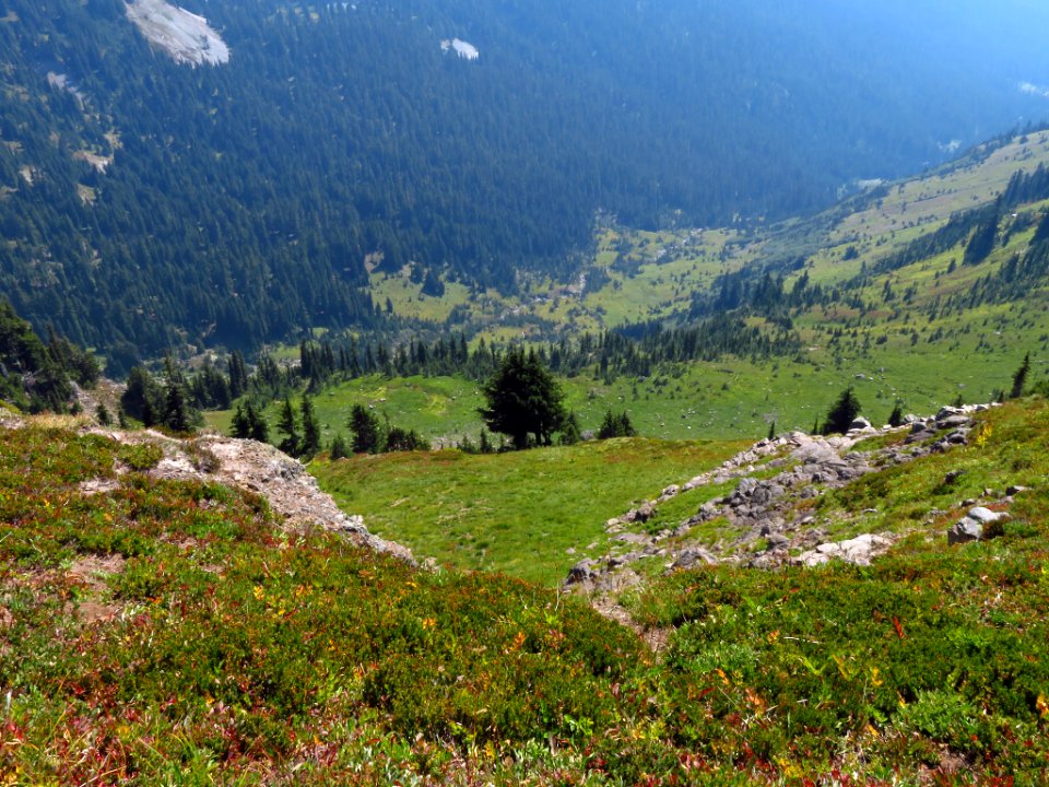 Goat Rocks Wilderness in WA