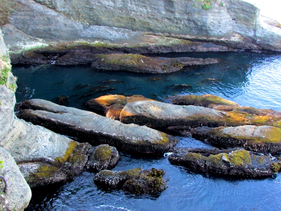 Cape Flattery at Neah Bay in WA