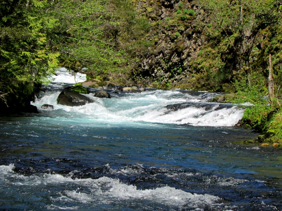 Spirit Falls Trail on Little White Salmon River in WA