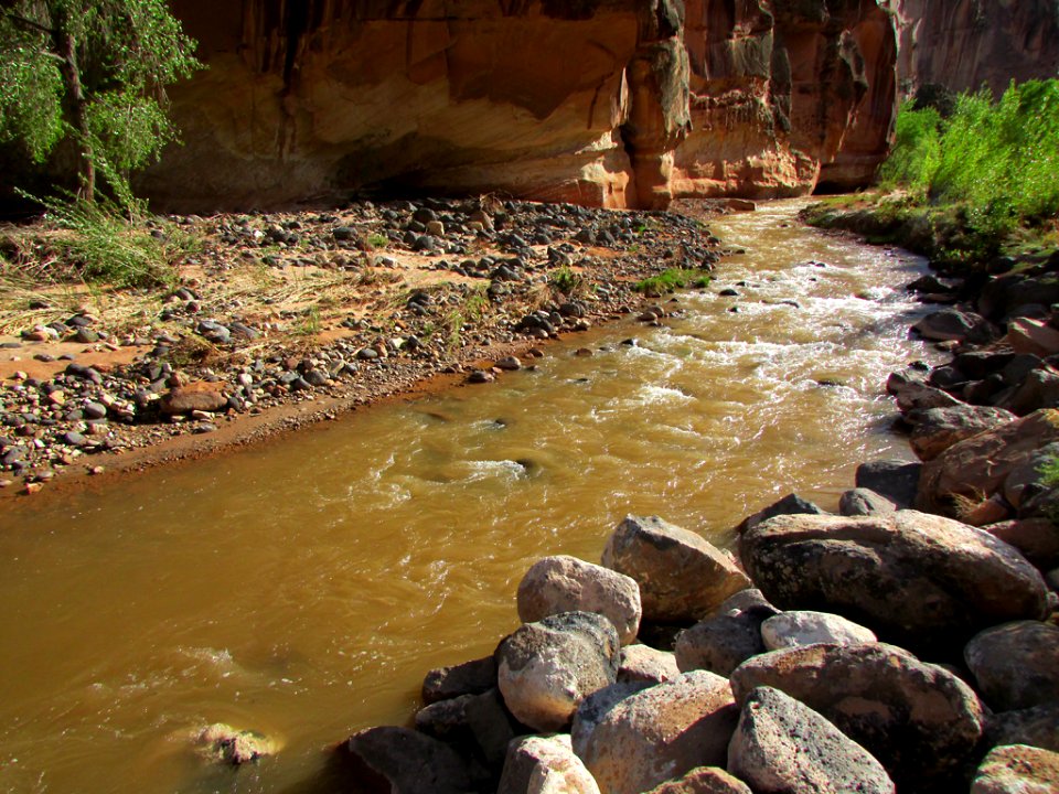 Fremont River at Capitol Reef NP in Utah