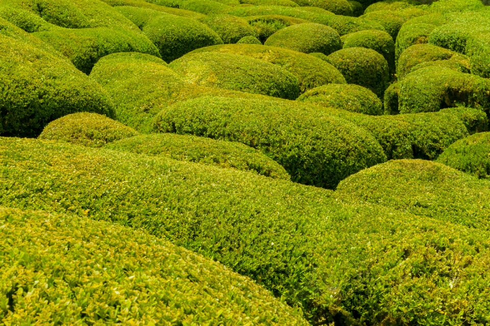 France green nature