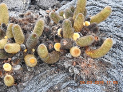DSCN3046