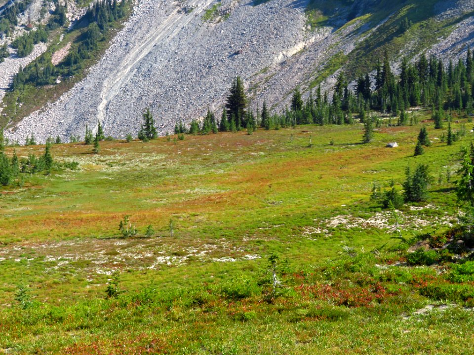 Goat Rocks Wilderness in WA