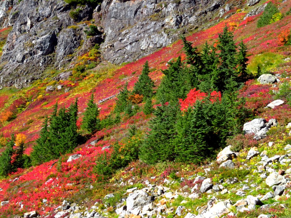 Autumn at Yellow Aster Butte in WA