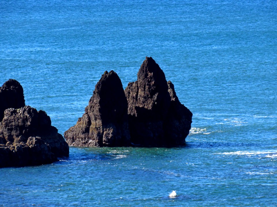 Low Tide at Pacific Coast in OR photo