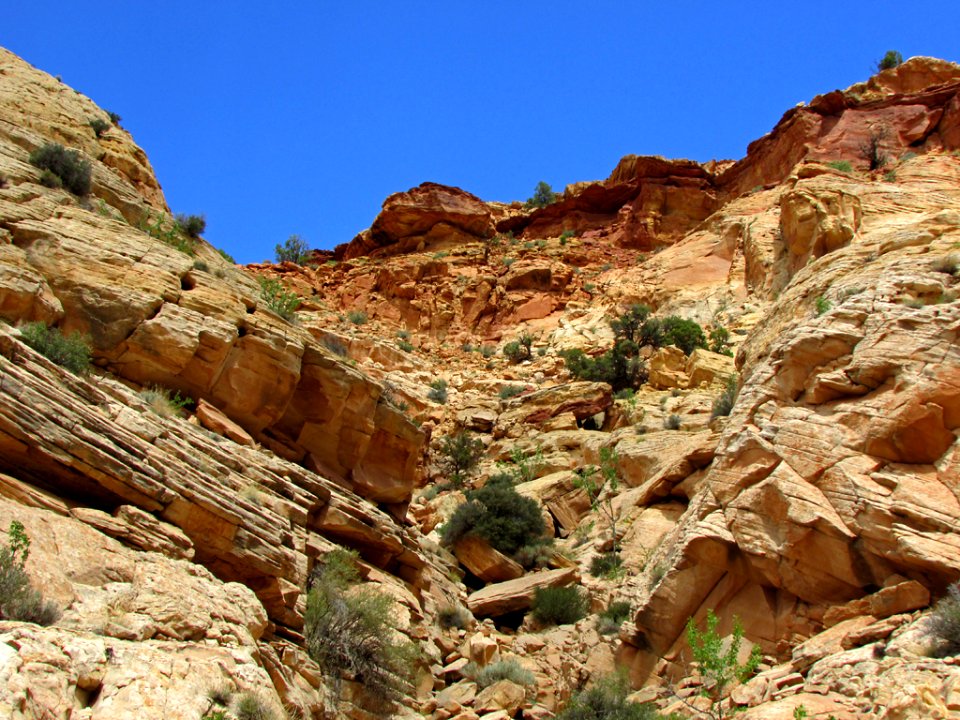 Capitol Reef NP in Utah