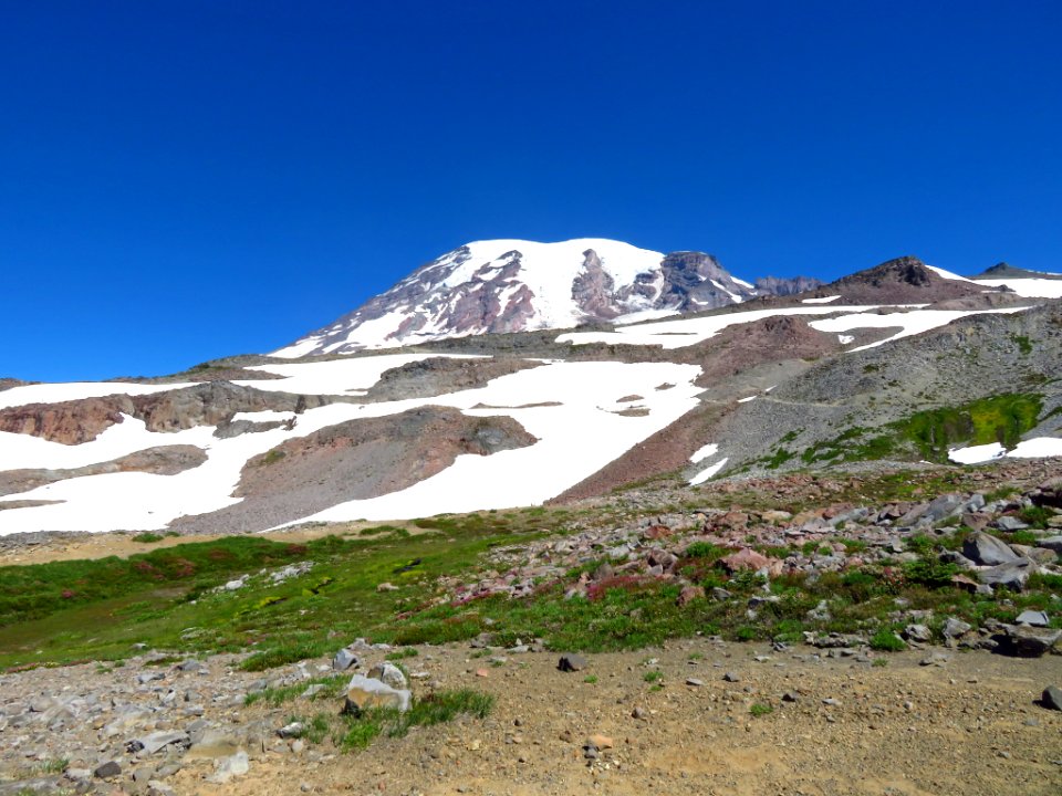 Skyline Trail at Mt. Rainier NP in WA