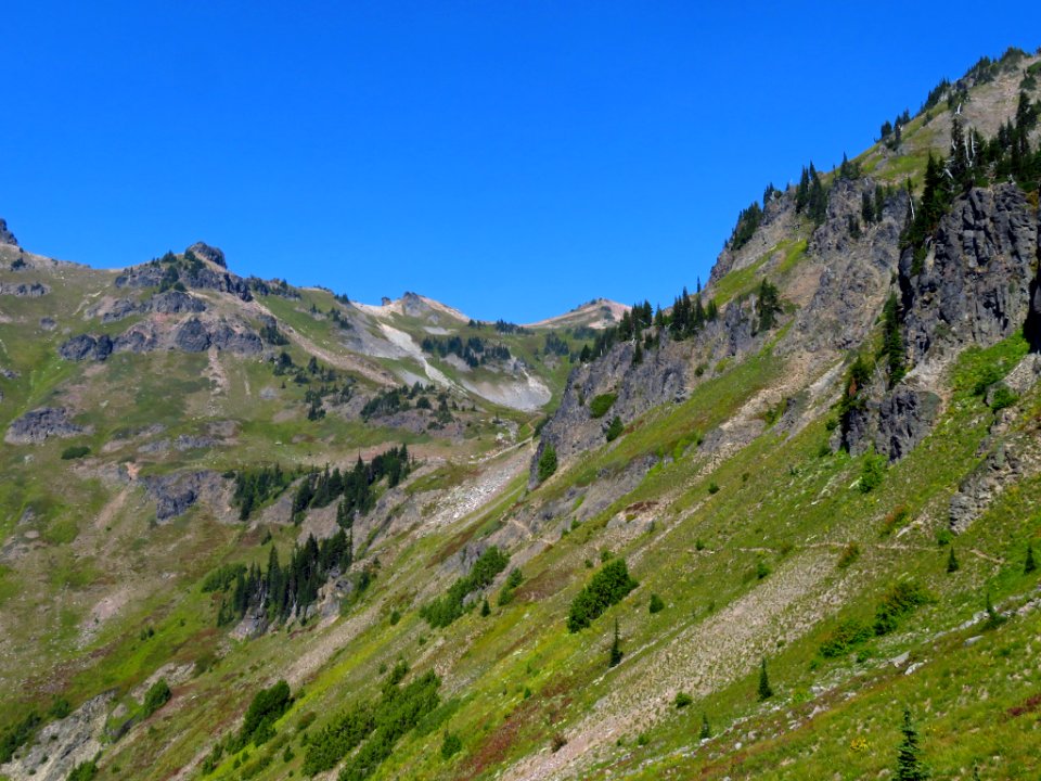 Goat Rocks Wilderness in WA