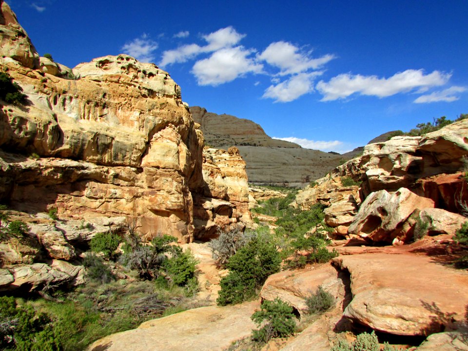 Capitol Reef NP in Utah