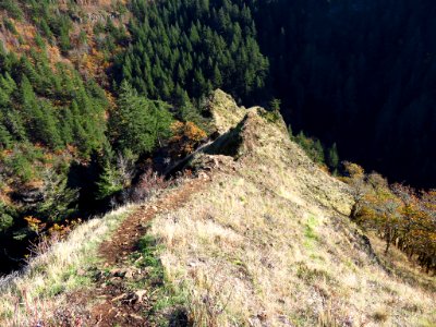 Spirit Falls Trail on Little White Salmon River in WA photo