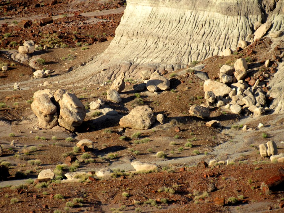 Jasper Forest at Petrified Forest NP in Arizona