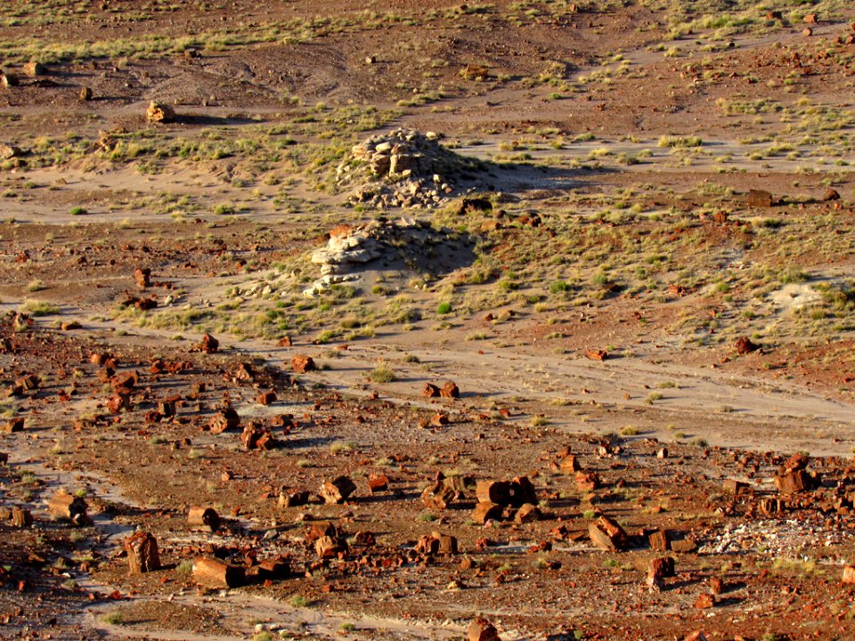 Jasper Forest at Petrified Forest NP in Arizona