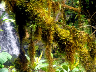 DSCF0105