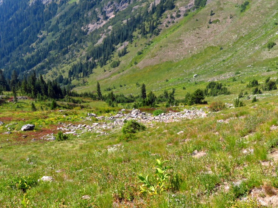 Goat Rocks Wilderness in WA